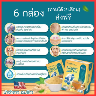 โปร 6 กล่อง+ของแถม : VS9 Ginger Cal  วีเอสไนน์ จินเจอร์ แคล บำรุงกระดูกและข้อ กระดูกพรุน  ข้อเข่าเสื่อม ปวดเข่า / VS9