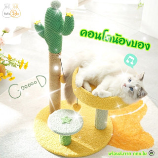 🐈 คอนโดแมว🌵คอนโดเล็ก ต้นไม้ สีเหลือง cat condo คอนโดผ้า กระบองเพชร เสาลับเล็บแมว