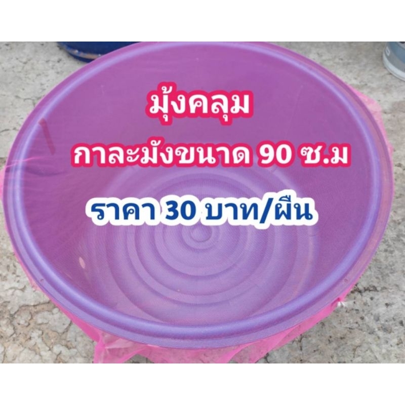 มุ้งคลุมกาละมังไรแดงขนาด 90 ซ.ม ราคา 30 บาท เพื่อป้องกันยุงและหนอนแดง(ซักล้างพร้อมใช้ได้เลย)