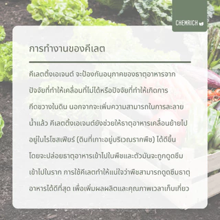 100G/500G Fe-DTPA เหล็กแดงคีเลต ดีทีพีเอ 11.6% เหล็กแดง เหล็กคีเลต จุลธาตุเหล็ก / Fe-DTPA Chelated iron micronutrient