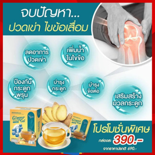 1 กล่อง : VS9 Ginger Cal (วีเอสไนน์ จินเจอร์ แคล) บำรุงกระดูกและข้อ กระดูกพรุน ข้อเข่าเสื่อม ปวดเข่า