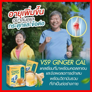 ส่งฟรี+รับเงินคืน : VS9 Ginger Cal วีเอสไนน์ จินเจอร์ แคล ช่วยบำรุงกระดูกและข้อ กระดูกพรุน ข้อเข่าเสื่อม ปวดเข่า / VS9