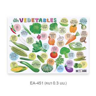 ผัก Vegetables EA-451 โปสเตอร์พลาสติก ขนาด A4 สื่อการเรียนการสอน สื่อการเรียนรู้ คำศัพท์ผัก ภาษาอังกฤษ