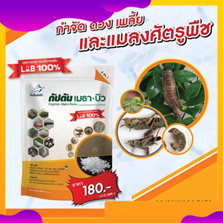 เชื้อราบิวเวอร์เรีย + เชื้อราเมธาไรเซียม แบบผง(500กรัม)  เพาะเชื้อจากห้อง LAB พร้อมใช้ ปลอดภัย 100 %