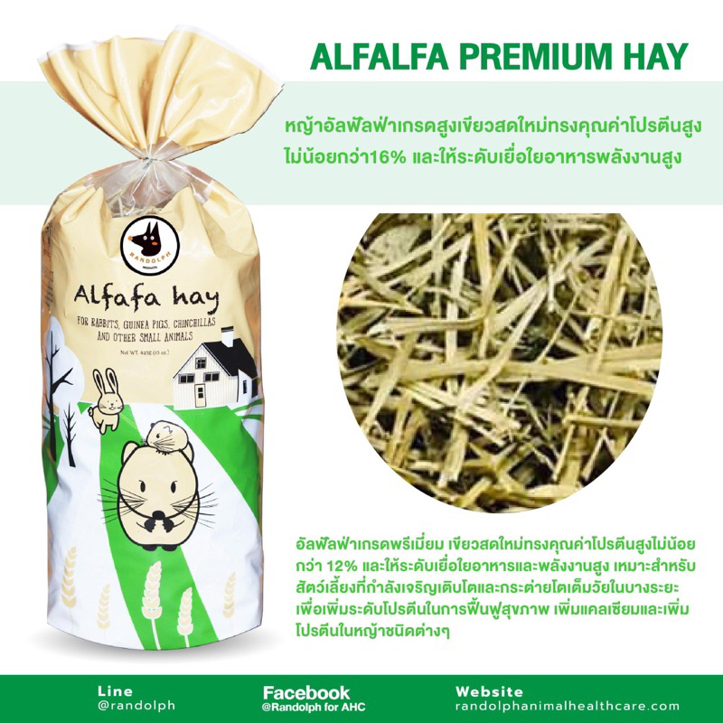 Randolph  - Alfafa Premium