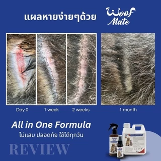 ส่งไว🔥สเปรย์ที่สัตวแพทย์แนะนำ#WoofMate เป็นสเปรย์ฆ่าเชื้อบนผิวหนังสัตว์เลี้ยง ใช้กับสัตว์เลี้ยงลูกด้วยนม🐈มี2ขนาด
