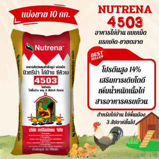 (แบ่งขาย 10กก.)อาหารไก่บ้าน ไก่พื้นเมือง🐣🐔นิวทรีน่า 4503 แบบเม็ด🌽ไก่โตไว เนื้อดี แข็งแรง