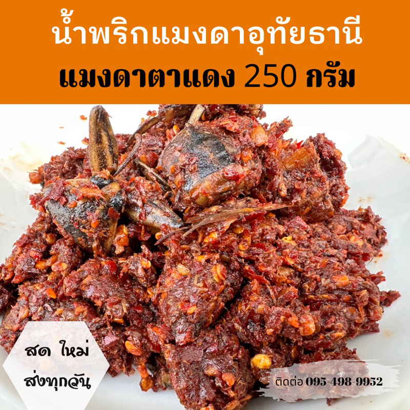 แมงดาป่าอุทัยธานี250กรัม