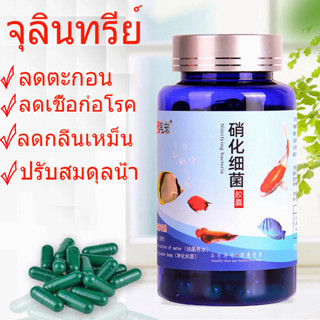 พร้อมส่ง จุลินทรีย์บ่อปลา ตู้ปลา คุณภาพสูง แบบเม็ด ใช้ง่าย ไม่มีสารเคมี ปลอดภัยต่อ พืชและสัตว