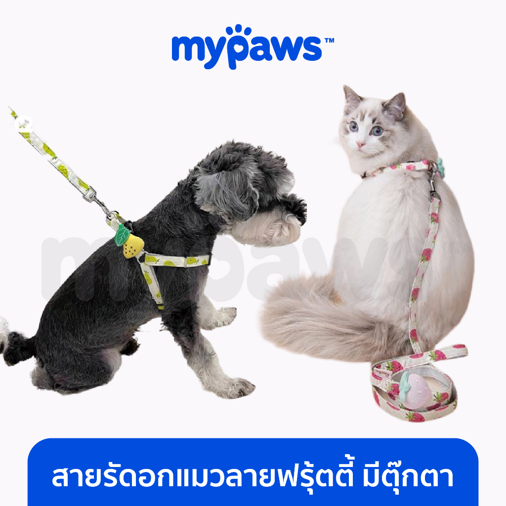 [ MYP18NV]My Paws สายรัดอกแมว ลายฟรุ้ตตี้ แบบมีตุ๊กตา สายรัดอกสัตว์เลี้ยง