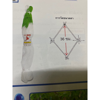 อวนเเตง สูง1.5ม. ย.50-60มฺตา36ซม อวนตาข่ายปลูกเเตง อวนค้างมะระ ตาข่ายไม่เลือย