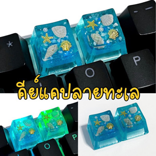 คีย์แคปลายทะเล  keycaps sea 🌊