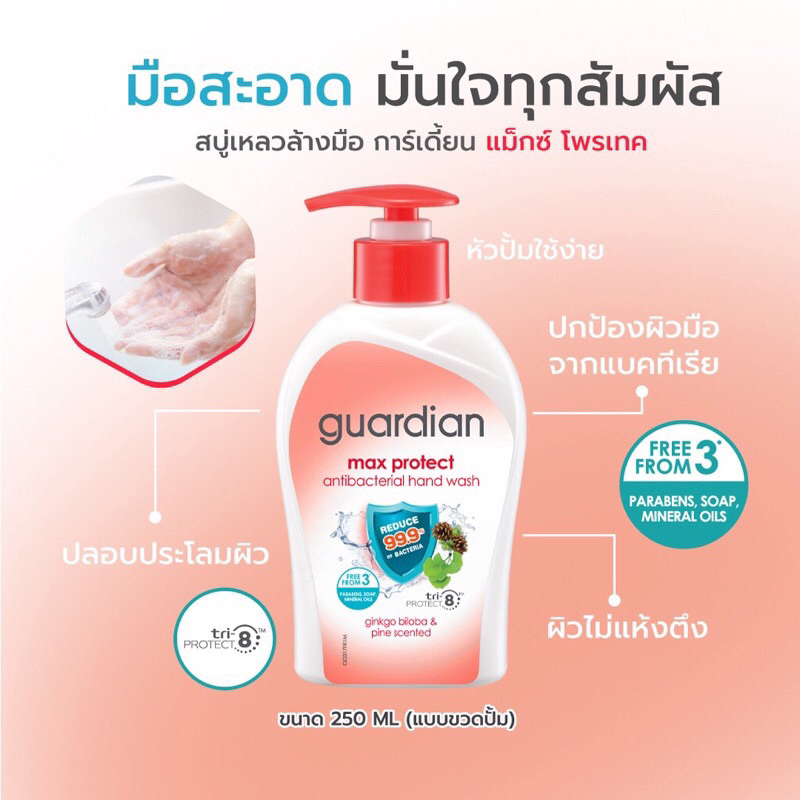 GUARDIAN MAX PROTECT ANTIBACTERIAL HAND WASH 250 ML