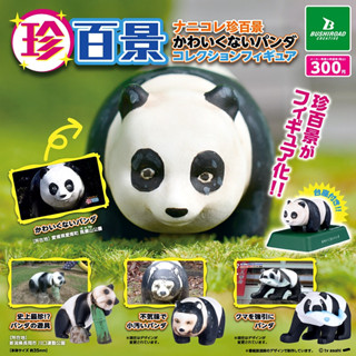 (มีของพร้อมส่ง) Gashapon กาชาปองแพนด้าแปลกแหวกแนว 100 Views of Pandas Bushiroad Creative โมเดลสัตว์