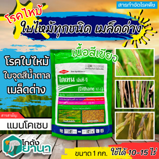 🌾 ไดเทน เอ็นที-จี(เขียว) (แมนโคเซบ) ขนาด 1กิโลกรัม ป้องกันกำจัดโรคที่มีสาเหตุจากเชื้อรา