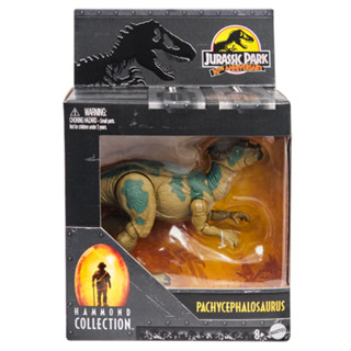 ของเล่น Hammond Collection Jurassic World Pachycephalosaurus