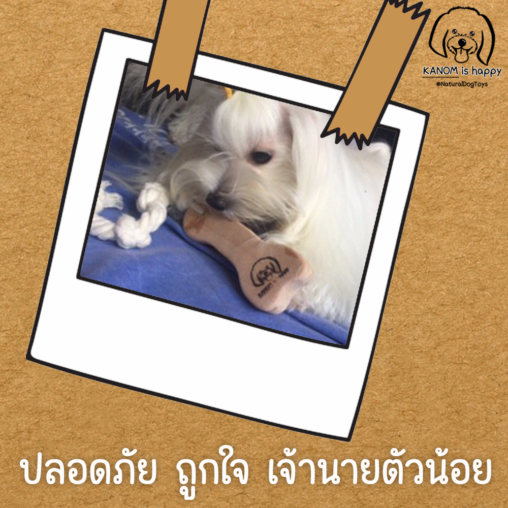 DOG LOVER BOX SET ของเล่นสุนัขของเล่นหมาจากไม้มะม่วงและเชือกฝ้ายธรรมชาติ พร้อมถุงเก็บอึและเชือกกัดจากเชือกฝ้าย