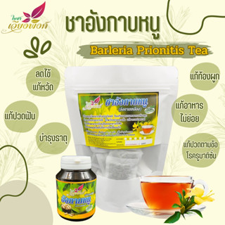 ชาอังกาบหนู อังกาบหนู อังกาบ (Barleria Prionitis Tea) แก้หวัดช่วยขับเสมหะ บรรเทาอาการอาหารไม่ย่อย