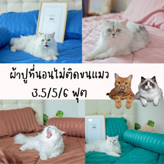 ส่งไว💯 ผ้าปูที่นอนไม่ติดขนแมว พร้อมผ้านวม 3.5ฟุต 5ฟุต 6ฟุต ผ้าปูที่นอนไม่ติดขนสัตว์ ขนแมว ปัดออกง่าย ผ้านุ่ม ลื่นนิดๆ