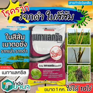 🌾 เมทาแลกซิล (ตรากระรอกแดง) 1กิโลกรัม (เมทาแลกซิล25WP) ป้องกันเชื้อรา โรคเน่า โรคราน้ำค้าง