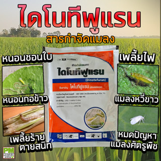 ไดโนทีฟูแรน (Dinotefuran) 20% สารป้องกันกำจัดแมลง เพลี้ย ด้วง หนอน ขนาด 100กรัม