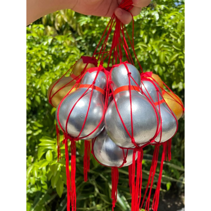 น้ำเต้าทอง น้ำเต้าเงิน แท้จากธรรมชาติ - รูปที่ 2