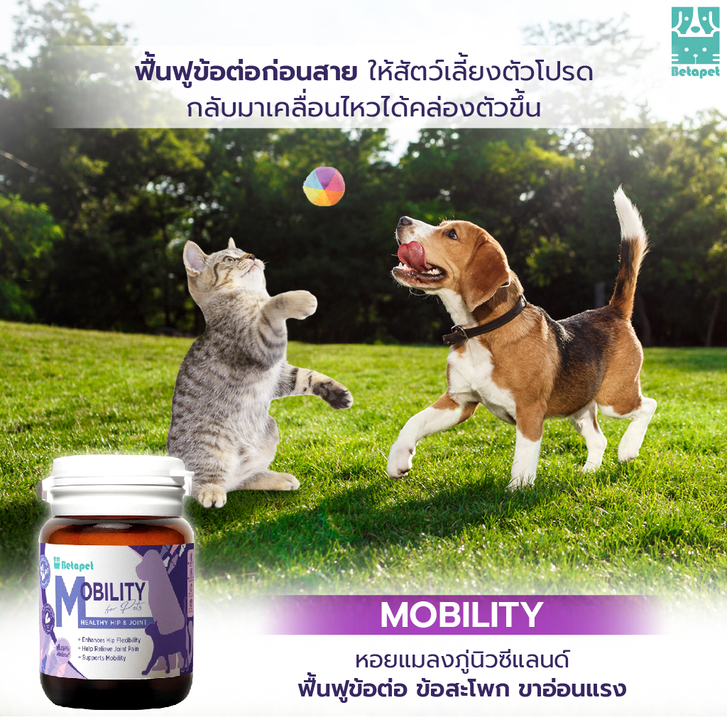 BETAPET อาหารเสริมบำรุงข้อสำหรับสุนัขและแมว ลดความเจ็บปวดในการลุก เดิน นั่ง ขาอ่อนแรง รูปที่ 3