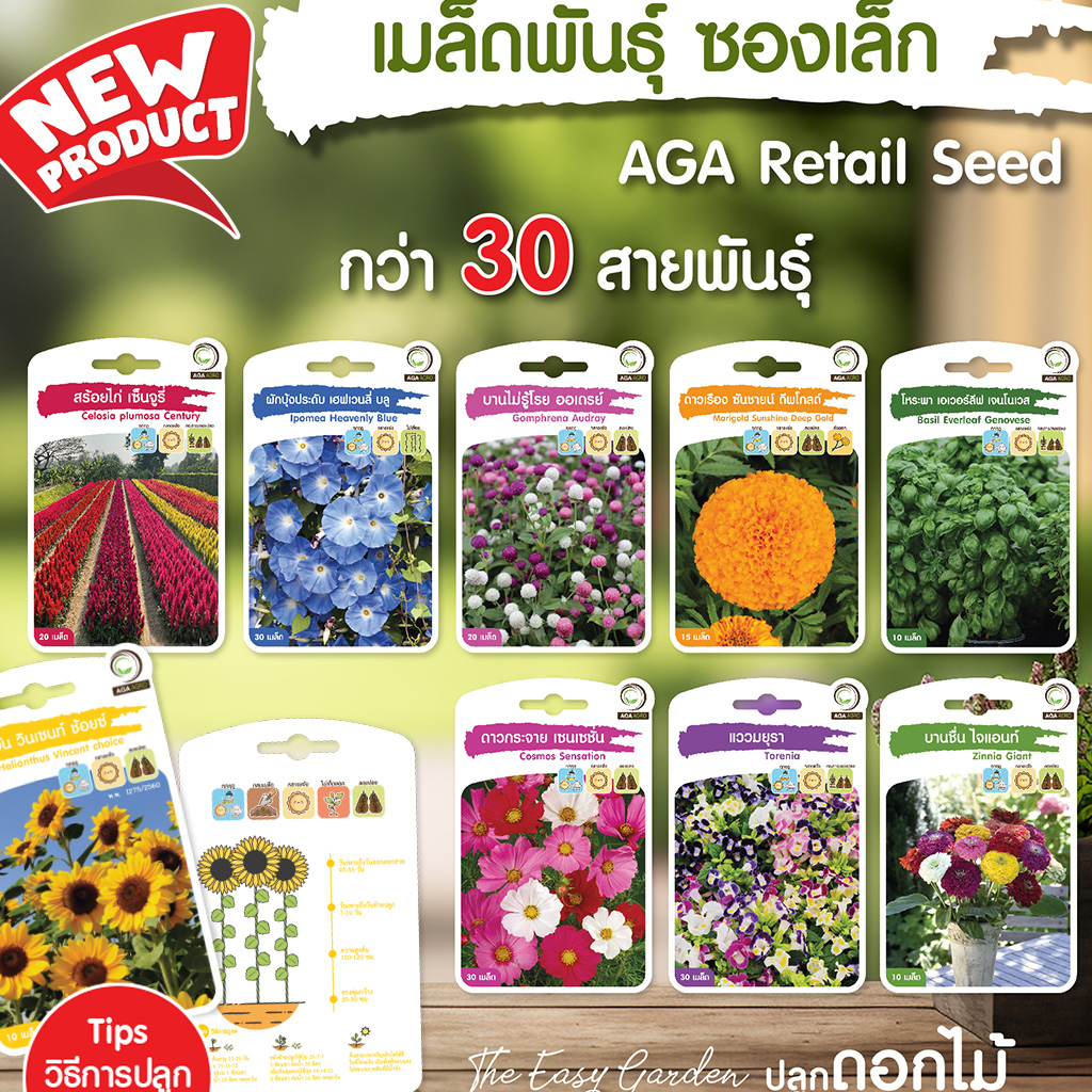 AGA SHOP เมล็ดพันธุ์ดอกไม้ ซองเล็ก โฉมใหม่ มีหลายพันธุ์ให้เลือก