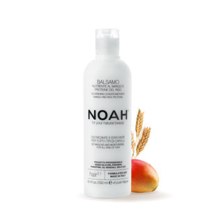 SET NOAH|Regenerating shampoo with argan oil 250 ml.+ conditioner with mango and rice proteins 250 ml.