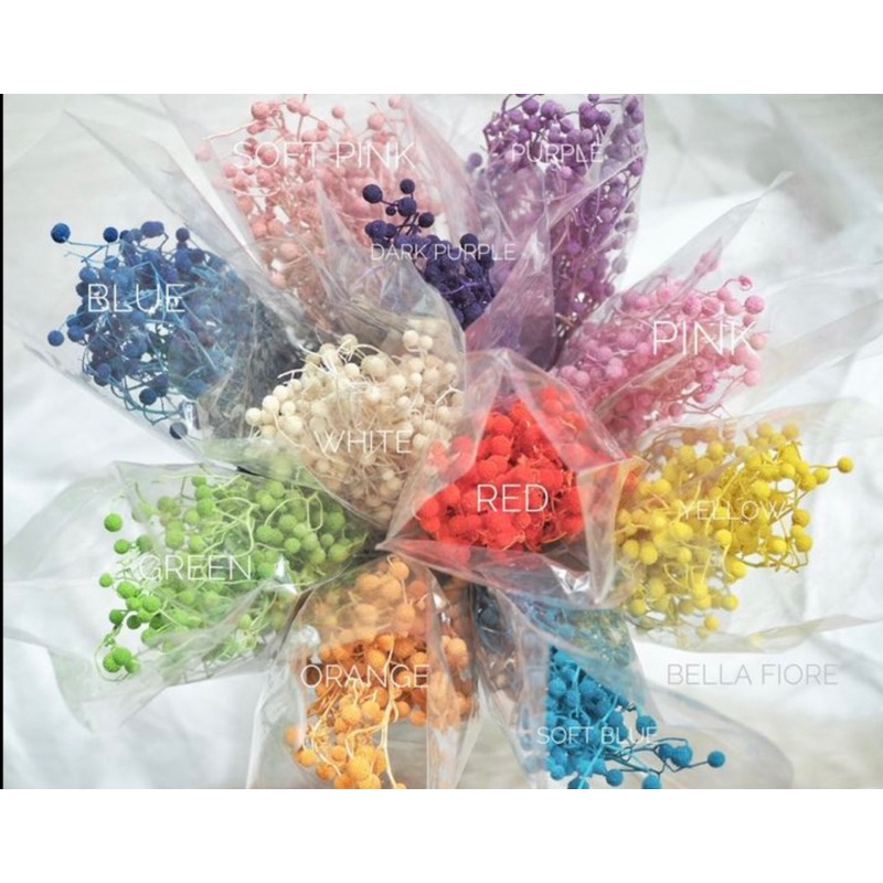 ดอกไม้แห้ง ดอกสาคูทิพย์ พร้อมส่งจากกทม เลยค่ะ ราคากำละ 85 บาท มีให้เลือกหลายสีนะคะ