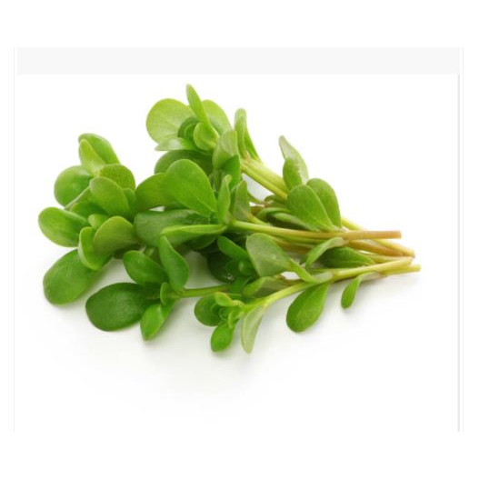 สารสกัดผักเบี้ยใหญ่ Portulaca oleracea extract 005954 วัตถุดิบเครื่องสำอางค์