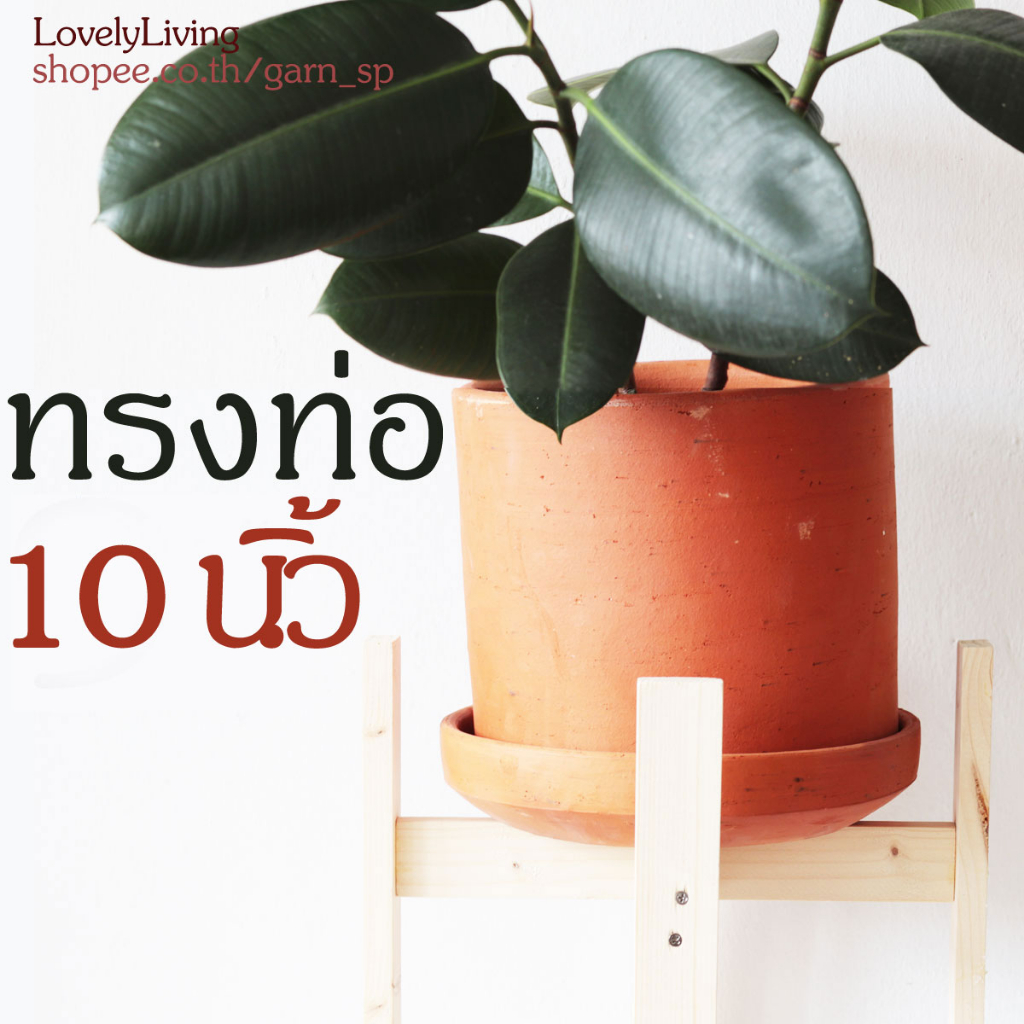 กระถางดินเผา 10 นิ้ว ทรงท่อ กระถางดินเผาเนื้อเรียบ ทรงท่อ 10 นิ้ว มาพร้อมจานรองกระถาง มินิมอล ดินเผา