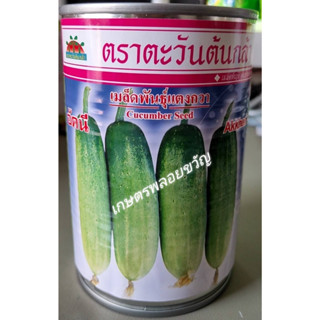 แตงกวา 🥒สิ้นอายุทำพันธุ์03/2567🥒 อัคนี📌( 25 กรัม) ตะวันต้นกล้า🪴อายุเก็บเกี่ยว28-32 วัน ผลทรงกระบอก ผิวเรียบ หนามน้อย