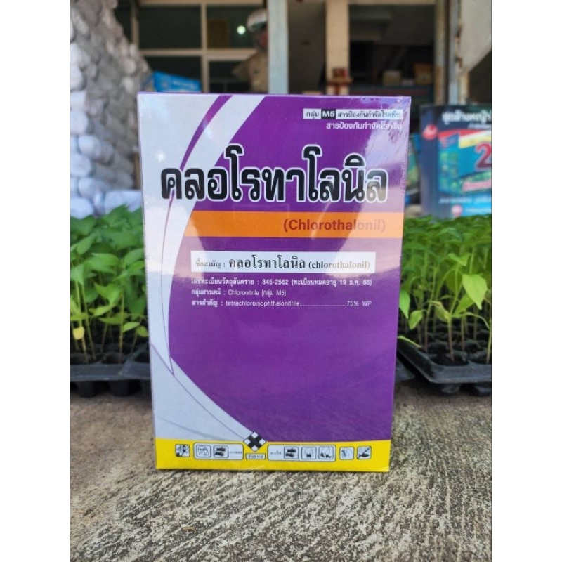 คลอโรทาโลนิล กำจัดเชื่อรา ขนาด 1000 กรัม ออกฤทธิ์สัมผัส ละลายน้ำดี ทนฝน