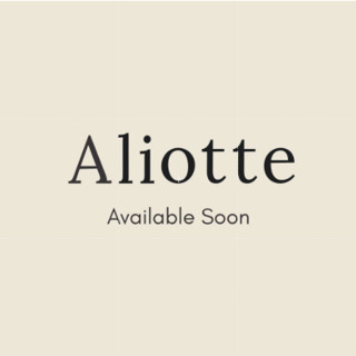 Aliotte - Shore Blazer