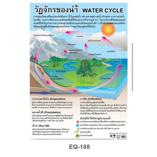 วัฏจักรของน้ำ EQ 188 โปสเตอร์สื่อการสอน หุ้มพลาสติก ขนาด 50 * 70 cm