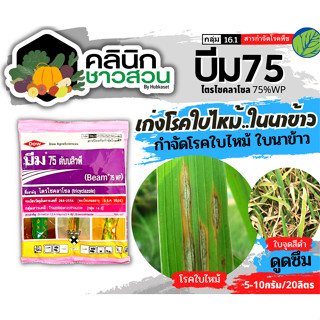 🥬 บีม75 (ไตรไซคลาโซล) บรรจุ 100กรัม ป้องกันกำจัดโรคไหม้ในข้าว