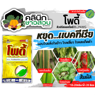 🥬 โพดี้ (คิวปรัสออกไซด์) บรรจุ 100กรัม ป้องกันกำจัด โรคที่เกิดจากแบคทีเรียและเชื้อรา