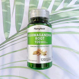 โสมอินเดีย Ashwagandha 460 mg 120 Capsules (Piping Rock®)