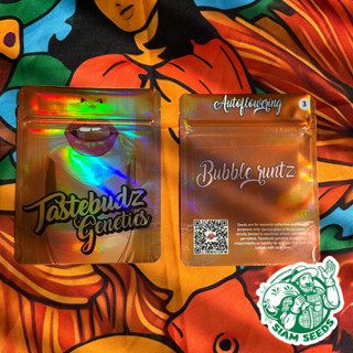 เมล็ดกัญชา Tastebudz Genetics Bubble Runtz Auto Cannabis Seeds (Pack of 3)