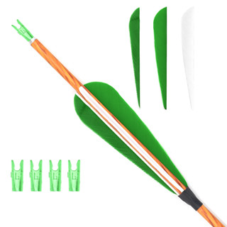 Kids Arrows - Wood Skin Carbon / Spine 800