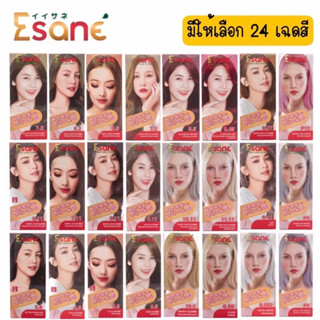 ESANE Hair Color Cream #อีซาเน่ แฮร์คัลเลอร์ ครีม ครีมเปลี่ยนสีผม ครีมย้อมสีผม