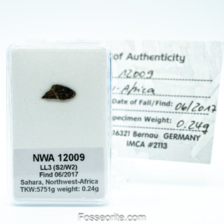 อุกกาบาต หิน NWA 12009 Chondrite LL3 (S2/W2) Meteorite แบบสไลซ์ พร้อมใบรับรอง จาก Germany #1 หนัก 0.24 กรัม