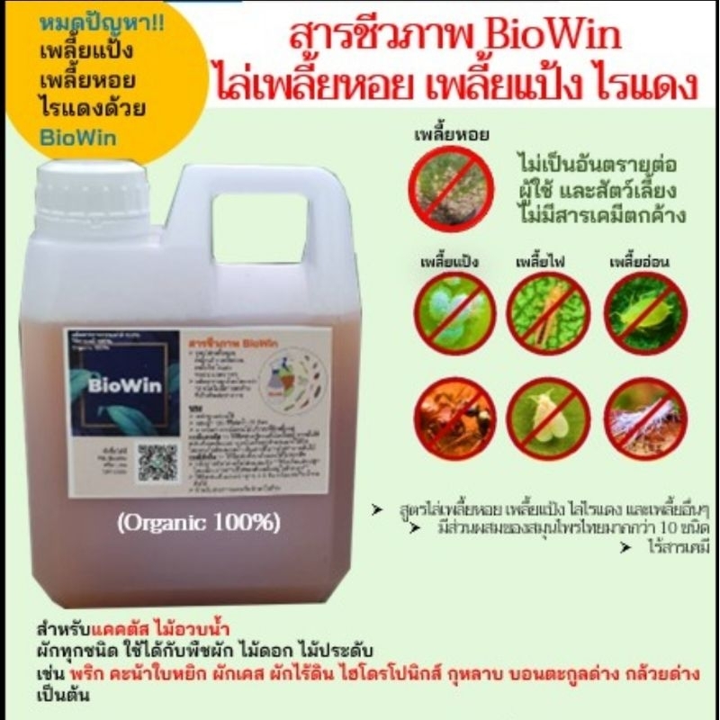 ‼️สารชีวภาพ BioWin  ไล่เพลี้ยแป้ง เพลี้ยหอย เพลี้ยไฟ ไรแดง ไล่หนอน ไล่แมลง ไร้สารเคมี 1000ml ราคา ถูกที่สุด ดีลบีเคเค แกลเลอรีภาพที่ 6