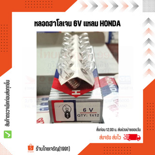 หลอดฮาโลเจน 6 โวลท์ แหลม Halogen Bulb 6V HONDA หลอดไฟฉาย หลอดตู้ไฟ