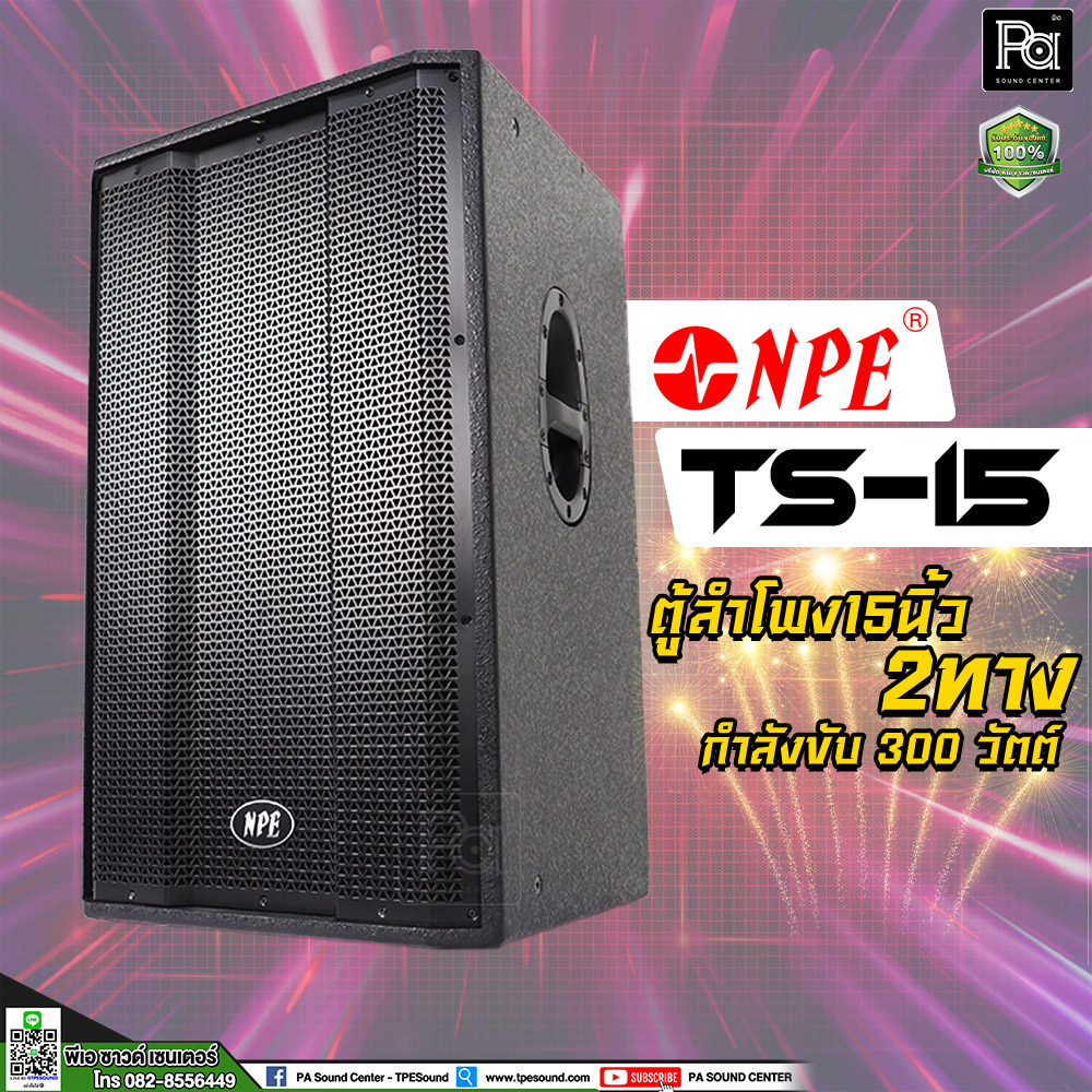 NPE TS-15 ตู้ลำโพง 15 นิ้ว 2 ทาง 300 วัตต์ ตู้ลำโพง15 ตู้ลำโพงไม้แท้ TS 15 ตู้ลำโพง Passive TS15