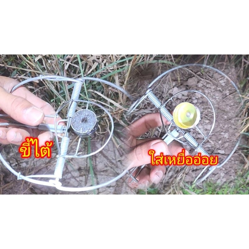 กับเหล็กชุดโมแสตนเลส เจ้าเดียวในไทย ใช้ดักหนูนา หนูบ้าน เหยื่อพร้อมใช้ขี้ไต้และฝาใส่เหยื่อ