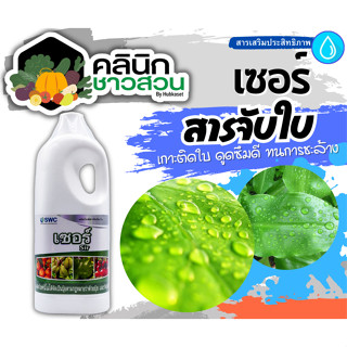 🥬 เซอร์ (สารจับใบ) บรรจุ 1ลิตร สารจับใบเกาะติด ดูดซึมดี ทนการชะล้าง