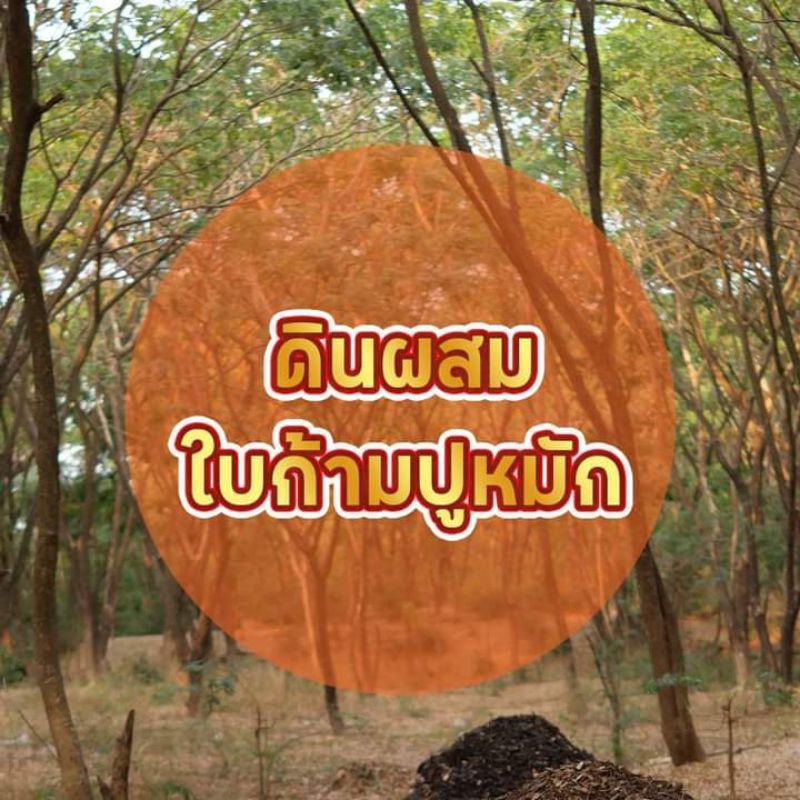 ดินปลูกต้นไม้ใบก้ามปู1กิโลกรัมดินสำเร็จรูป