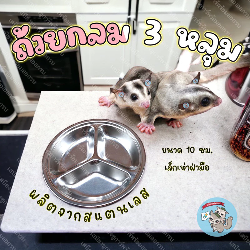V ( ถ้วยสแตนเลสกลม 3 หลุม ) ถ้วยสแตนเลส ถ้วยอาหาร